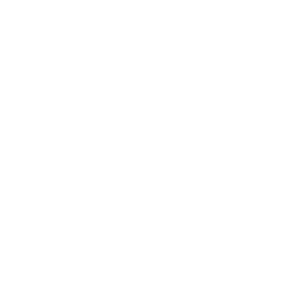 Verxel Arts VA 2d logo White